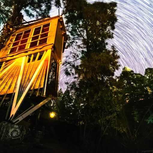 Tree House - 3-01-2019