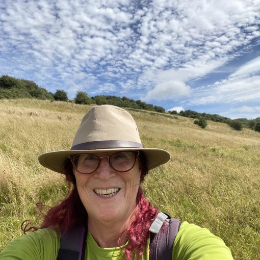 2024 - Cotswolds Trail - Day 11-12