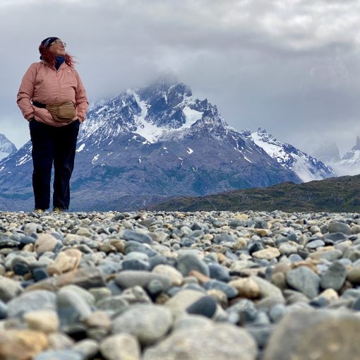 2025 - Argenitna & Chile - Torres Del Peine-2