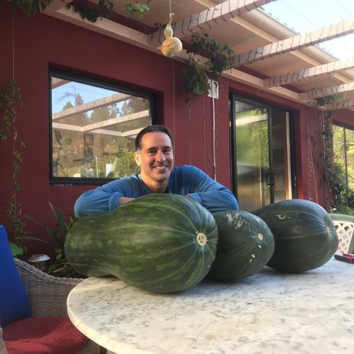 2018 - Our first pumpkins