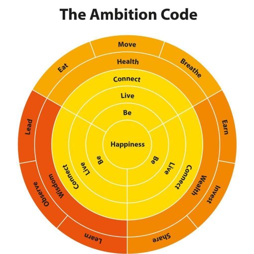 AmbitionCode-new