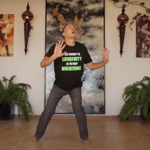 Body Brain Dance
