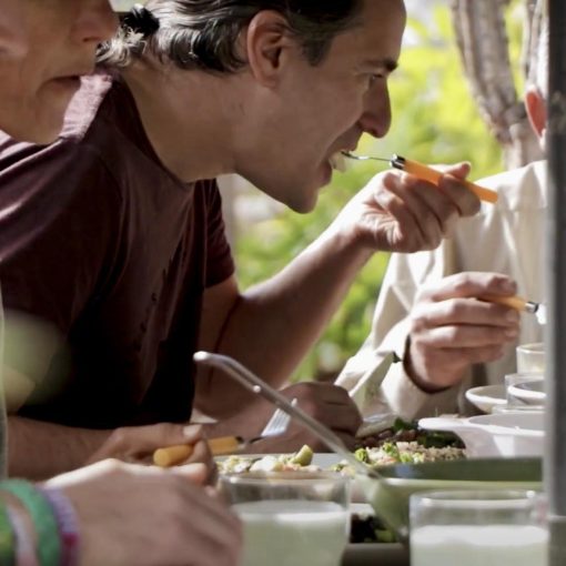 Living a Holistic Life
