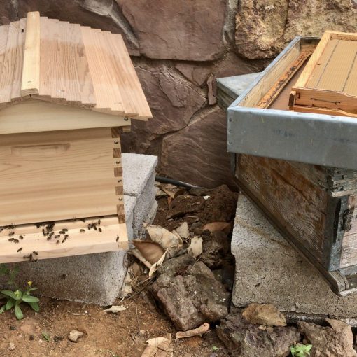 Our Beehives