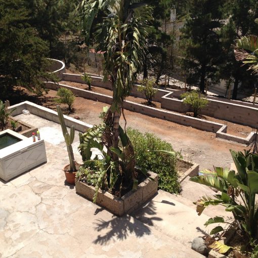 Terraces 1